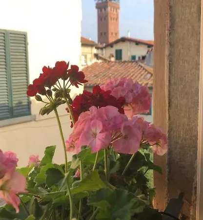 Flavia Bertolli In Apartment
