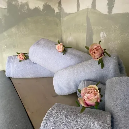 Apartment Flavia Bertolli In Lucca